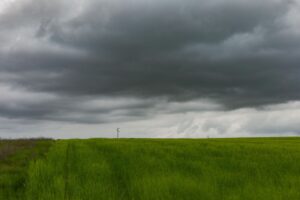 Siebenschläfer 2026: Datum, Wetterregel und astrologischer Hintergrund